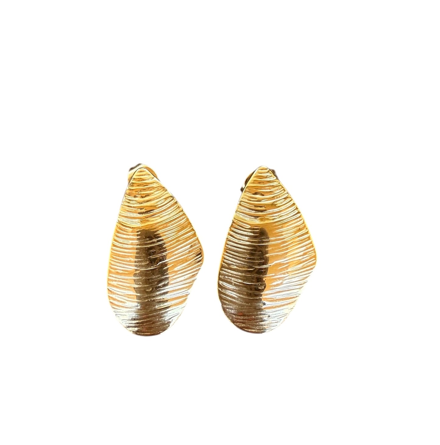 Pendientes lapa de mar